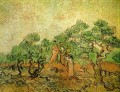 Olive Picking 3 Vincent van Gogh